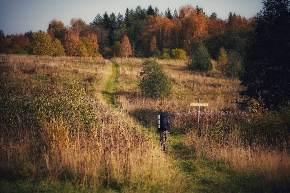 Photograph by Татьяна Машина