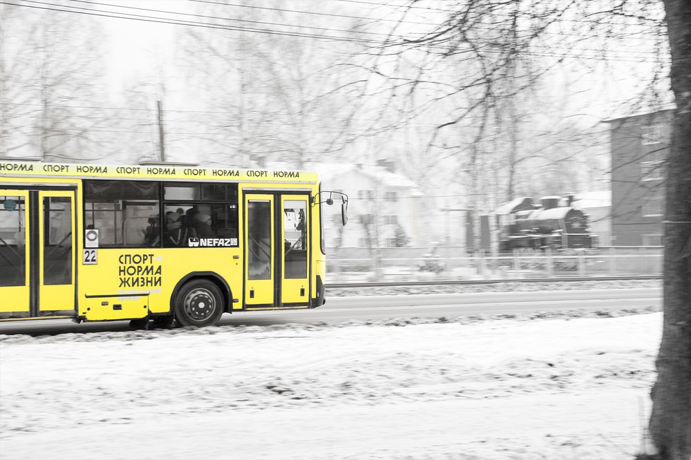 Photograph by Надежда Киселева