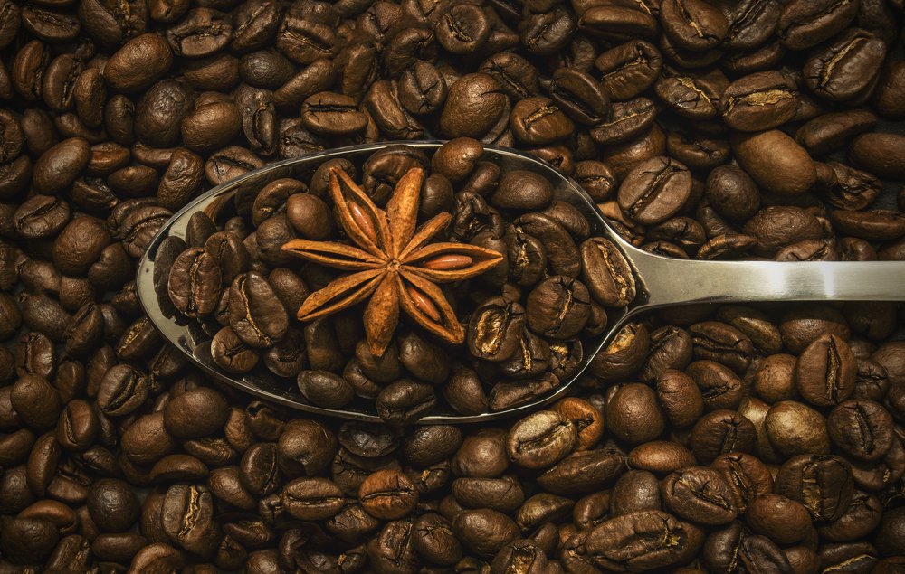 Photograph by Predescu Livius Florin