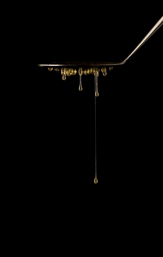 Photograph by Laura Oporanu