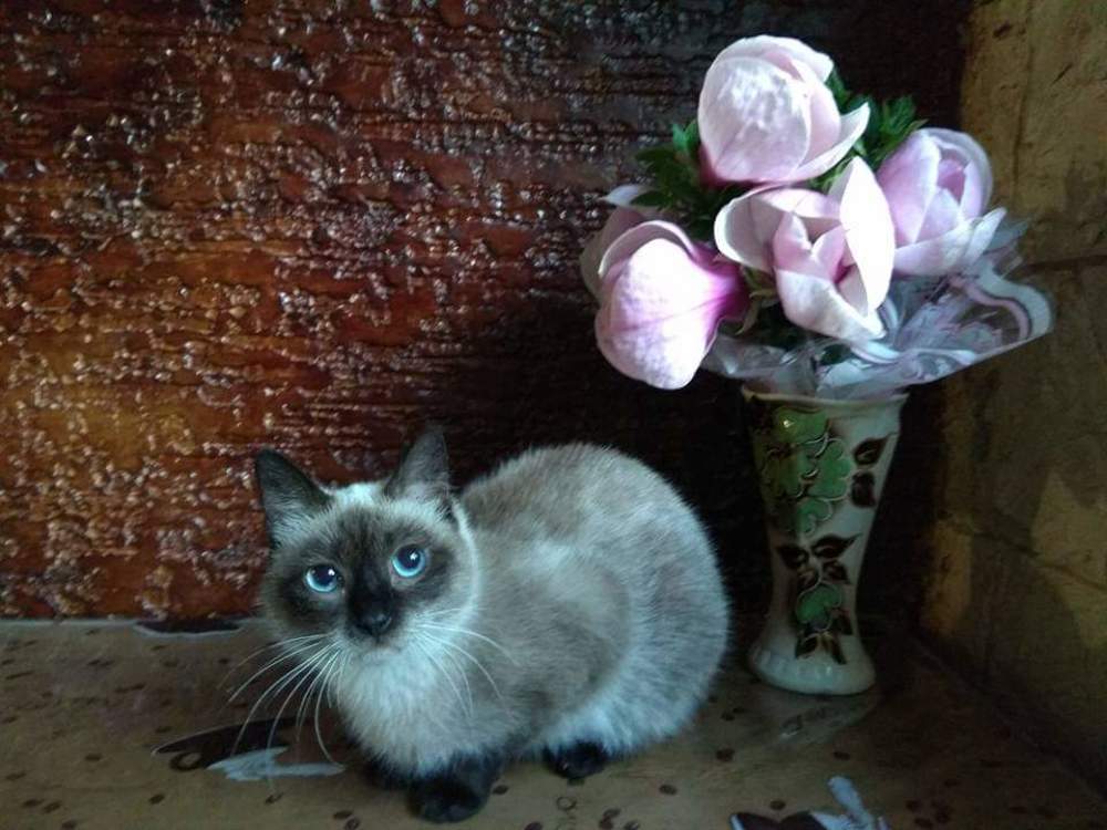 Photograph by Анна Поветкина