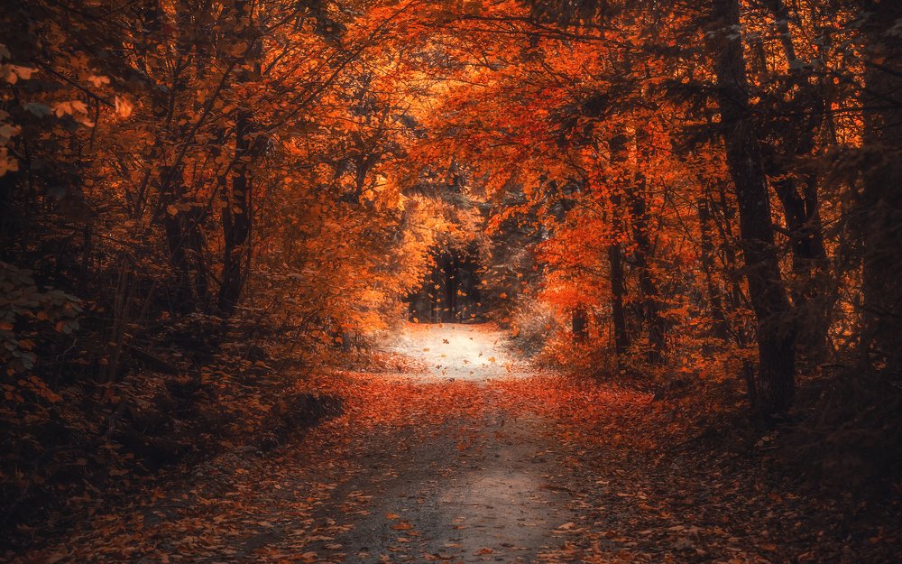 Photograph by Iris Lara