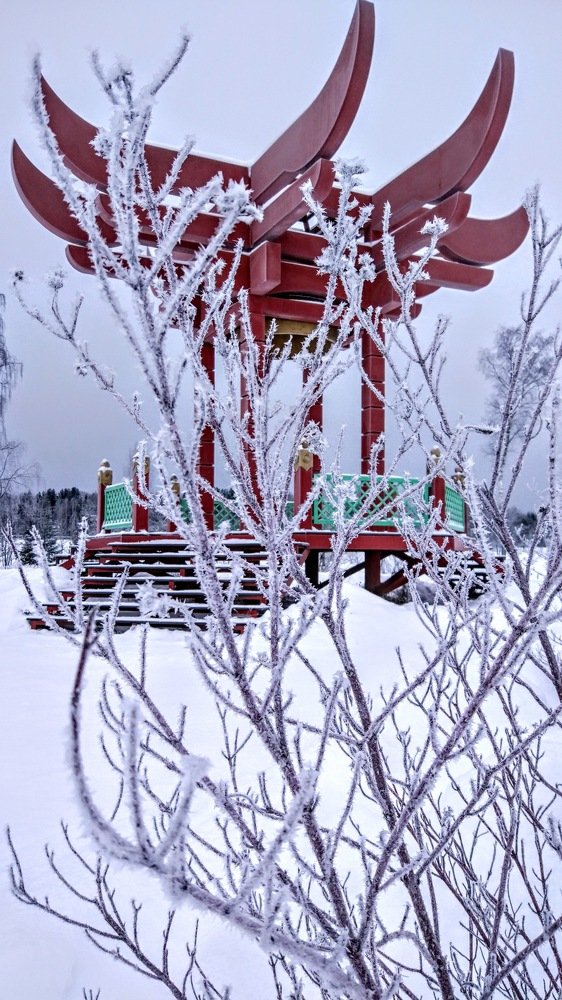 Фотография автора Азифат Ерохова