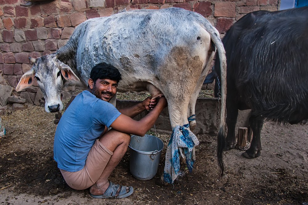 Photograph by Ольга Мусиенко