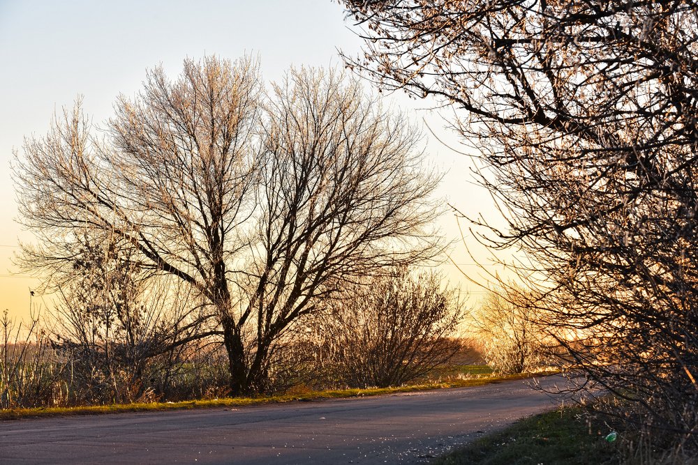 Photograph by Олександр Дмитрук