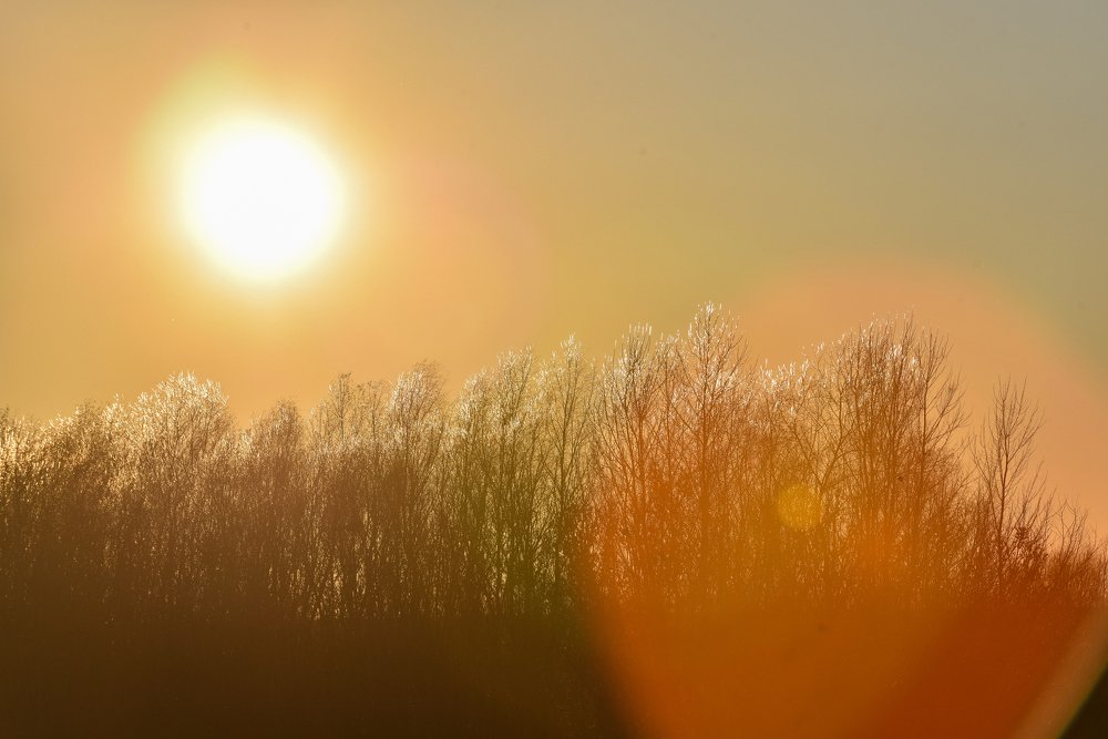 Photograph by Олександр Дмитрук