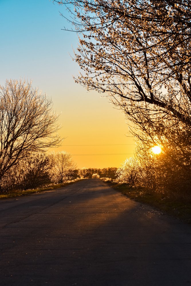 Photograph by Олександр Дмитрук