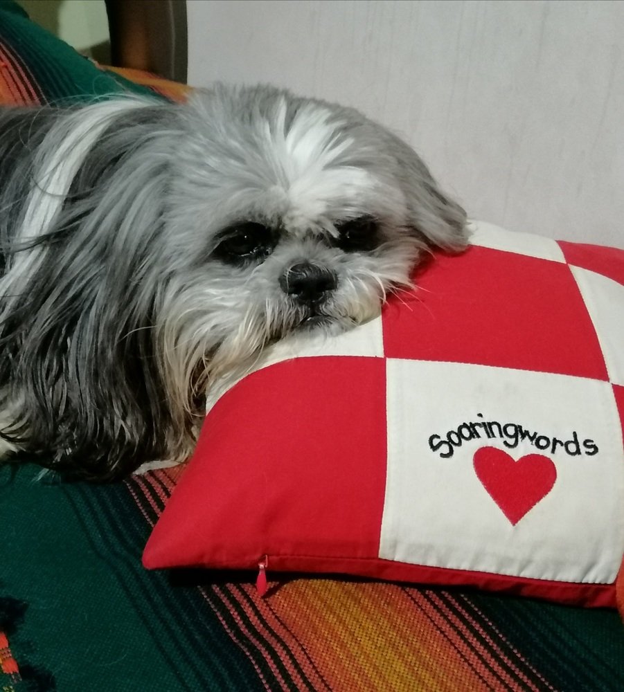 El Amor incondicional