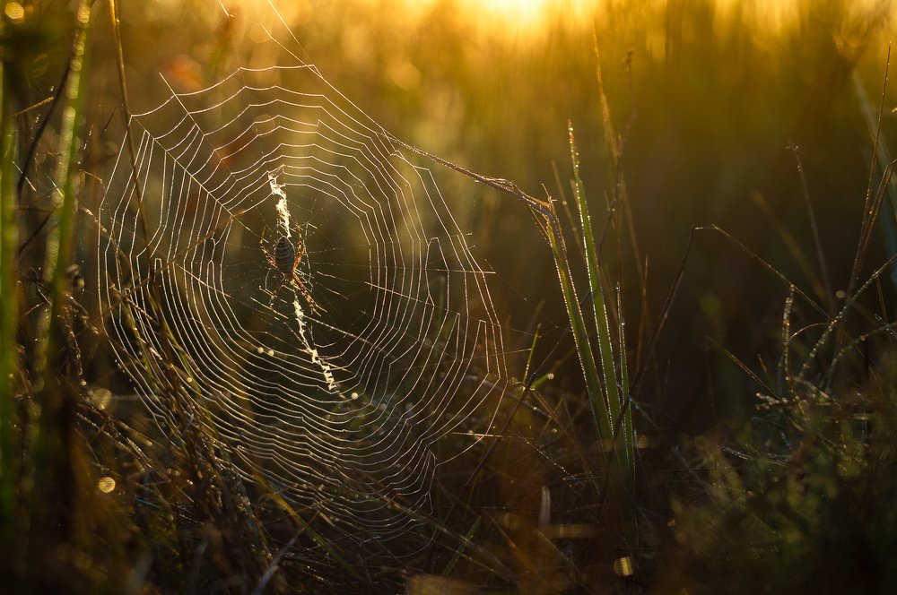 Photograph by Юрий Москалев