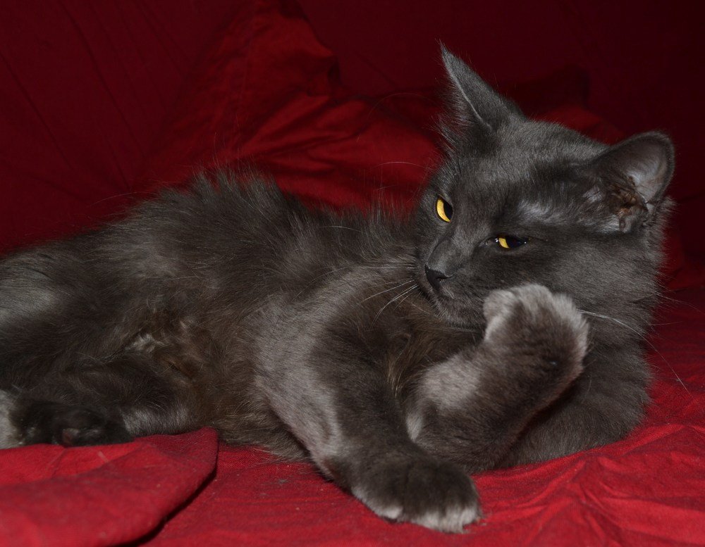 Photograph by Ольга Хромова