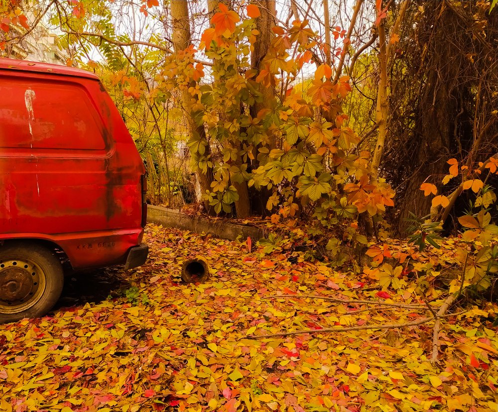 Photograph by Evangelia Kapetanaki