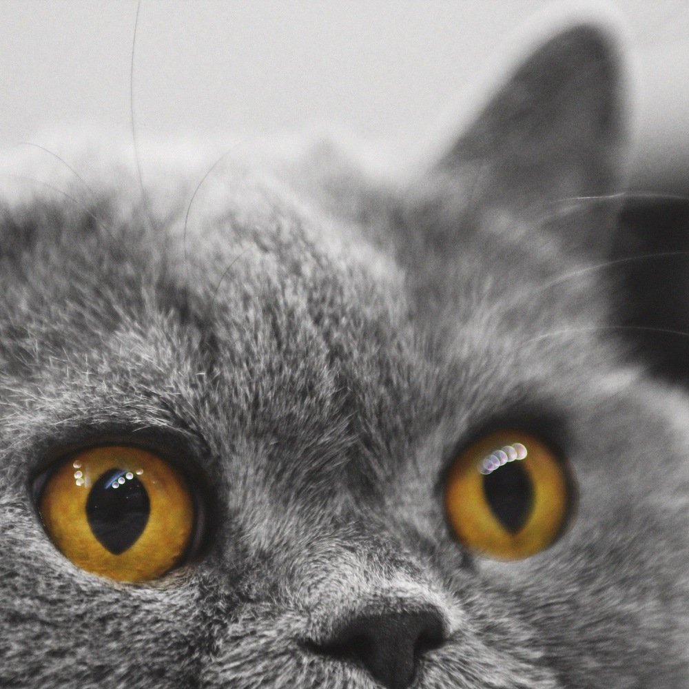 Photograph by Svetlana Geynts