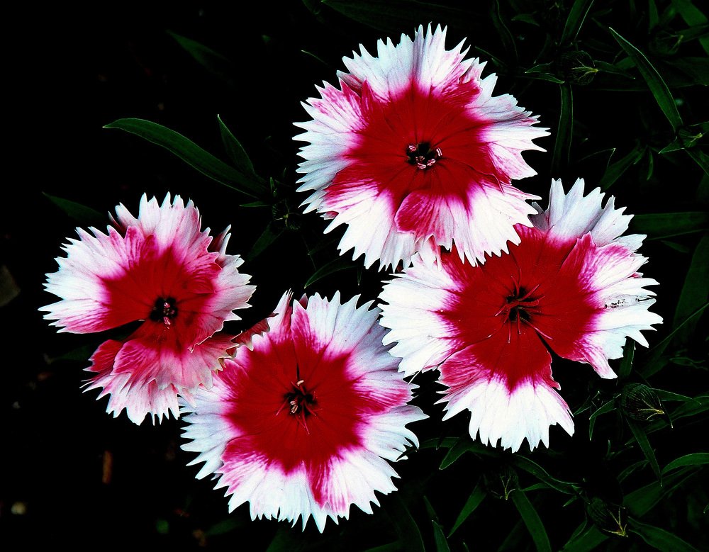 Photograph by Александр Бугаенко