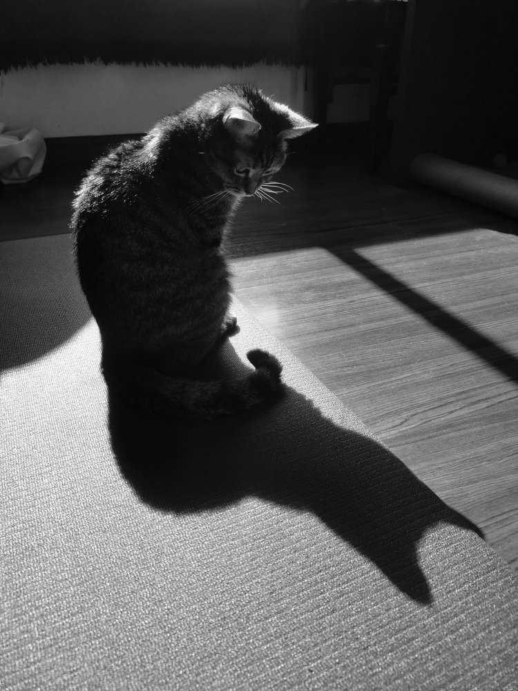 Photograph by Iashchenko Nadezhda