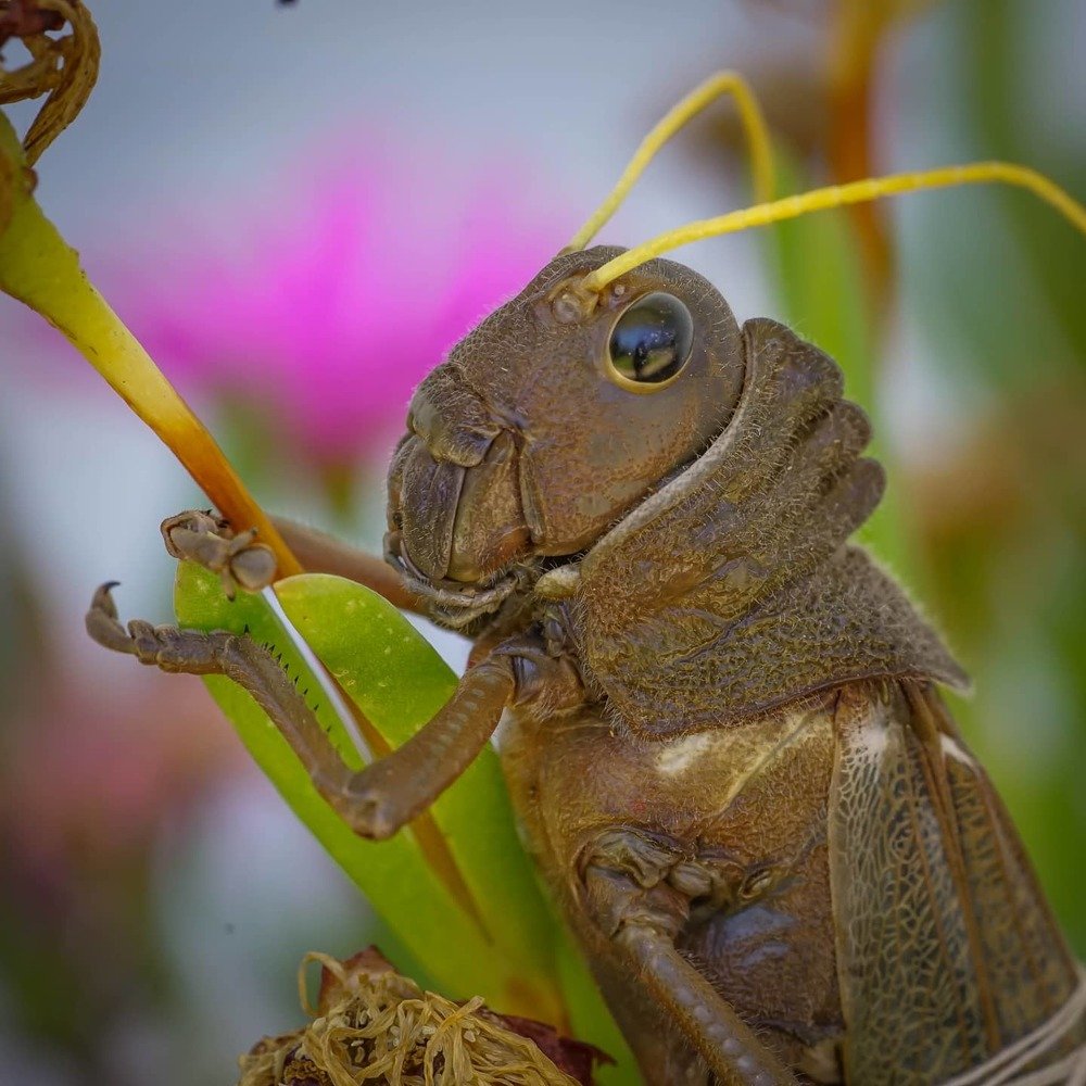 Photograph by Karina Elena Bergagna