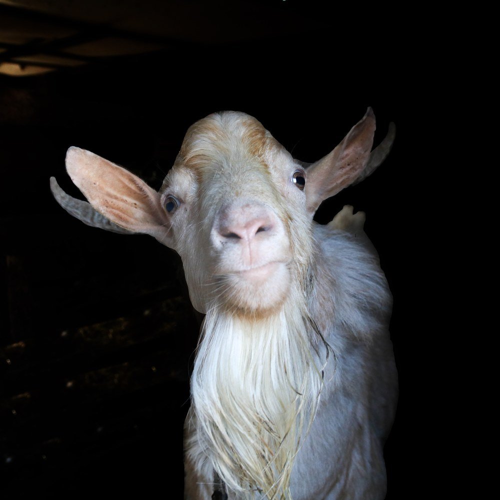 Photograph by Людмила Аксенова