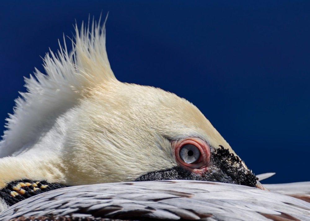 Photograph by Fernando Lopez Lago