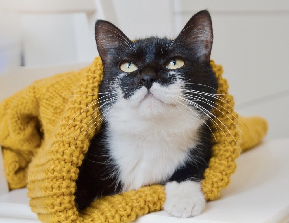 Photograph by Анастасия Тетерина