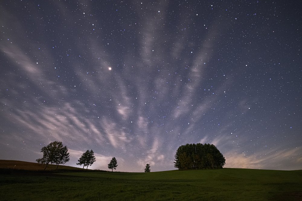 Photograph by Ikeda Akiko