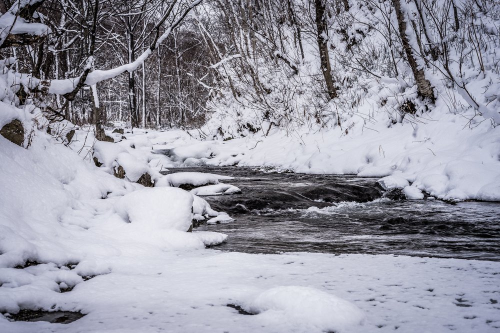 Photograph by Константин Пинигин