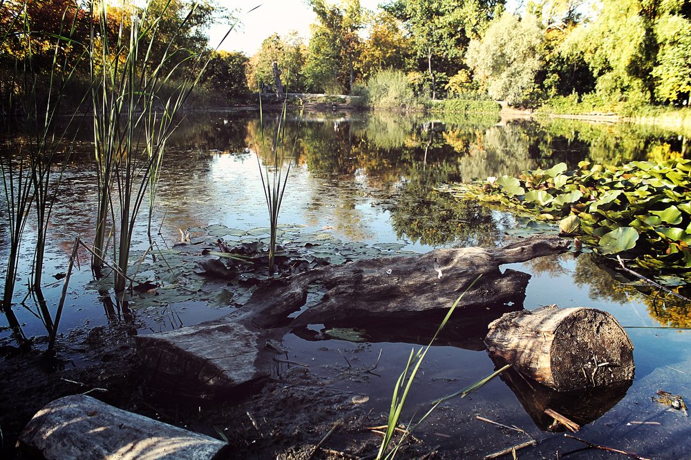 Photograph by Елена Кудейкина