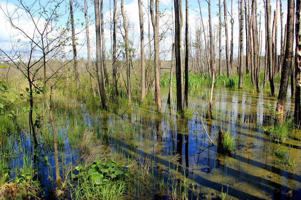 Photograph by Анна-Лаймуте Милошевич