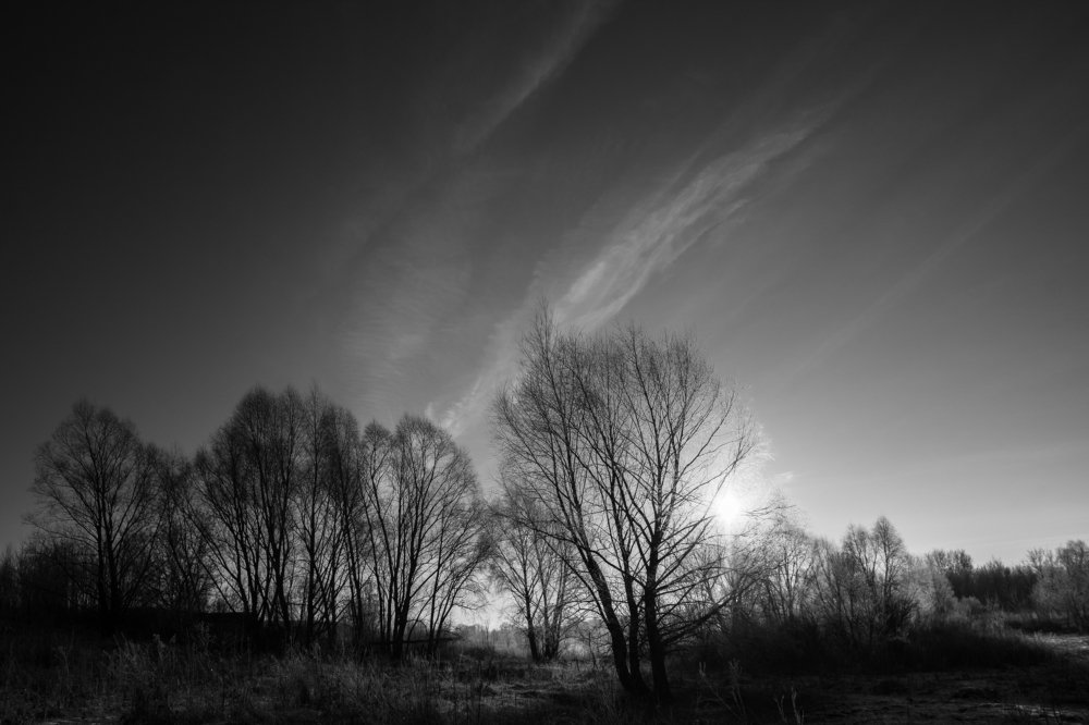 Photograph by Артём Аниськин