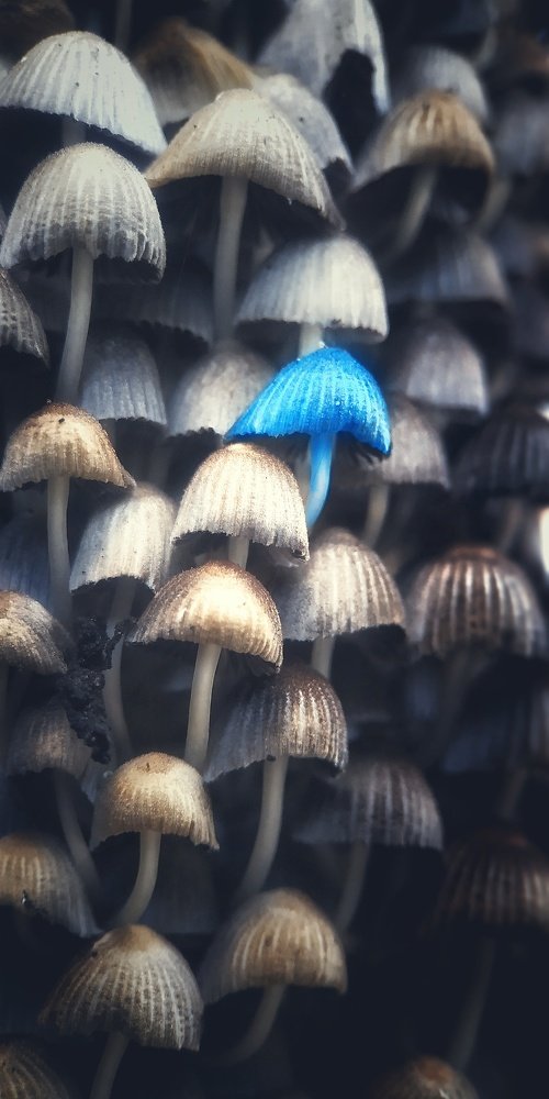 Photograph by Юлия Марфонова