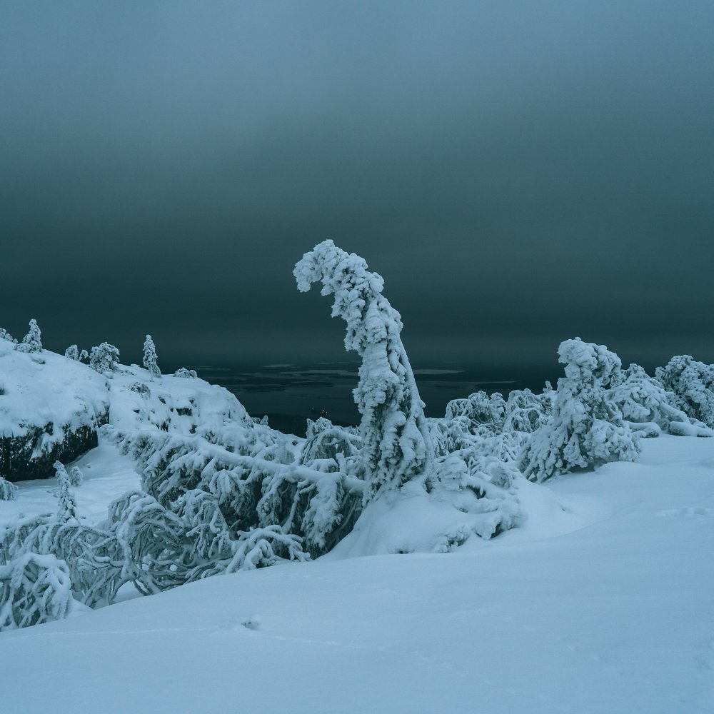 Photograph by Yan Silchenko