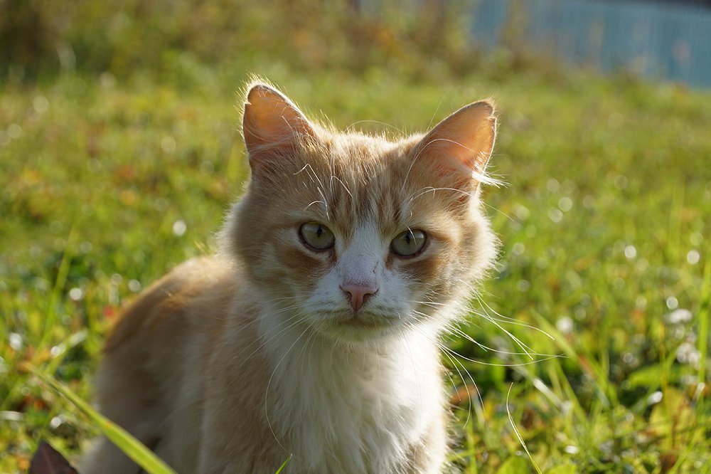 Photograph by Михаил Рассказ