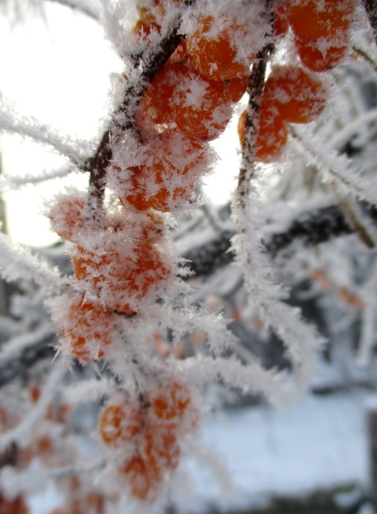 Photograph by Татьяна Иваненкова