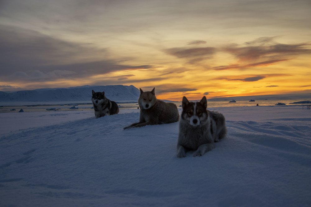 Photograph by Алексей Логинов