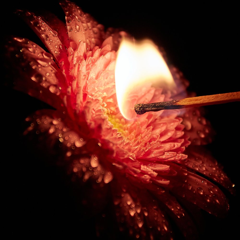 Photograph by Роман Дмитриев