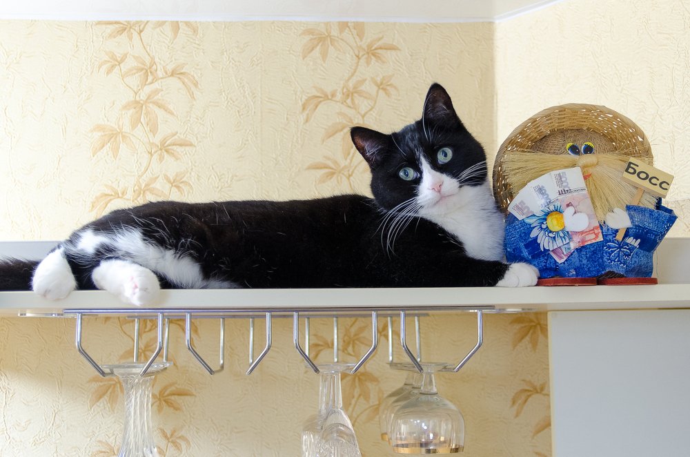 Photograph by Сергей Зубенин