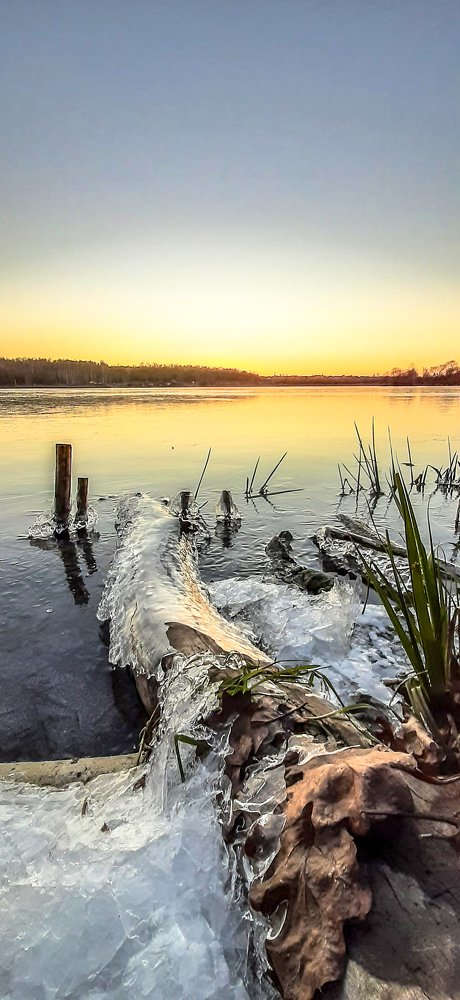 Photograph by Nikita Skokov