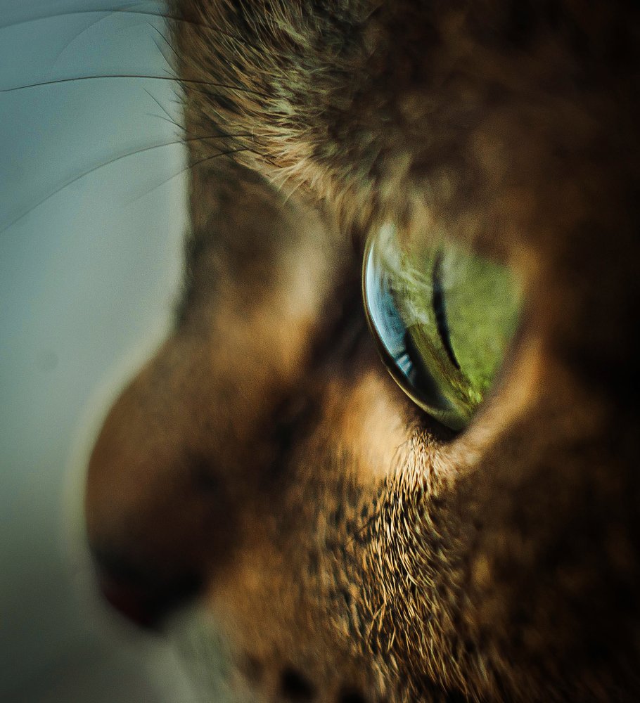 Photograph by Лариса Максименко