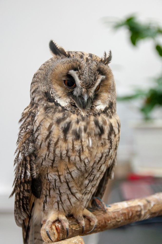 Photograph by Сергей Зубенин