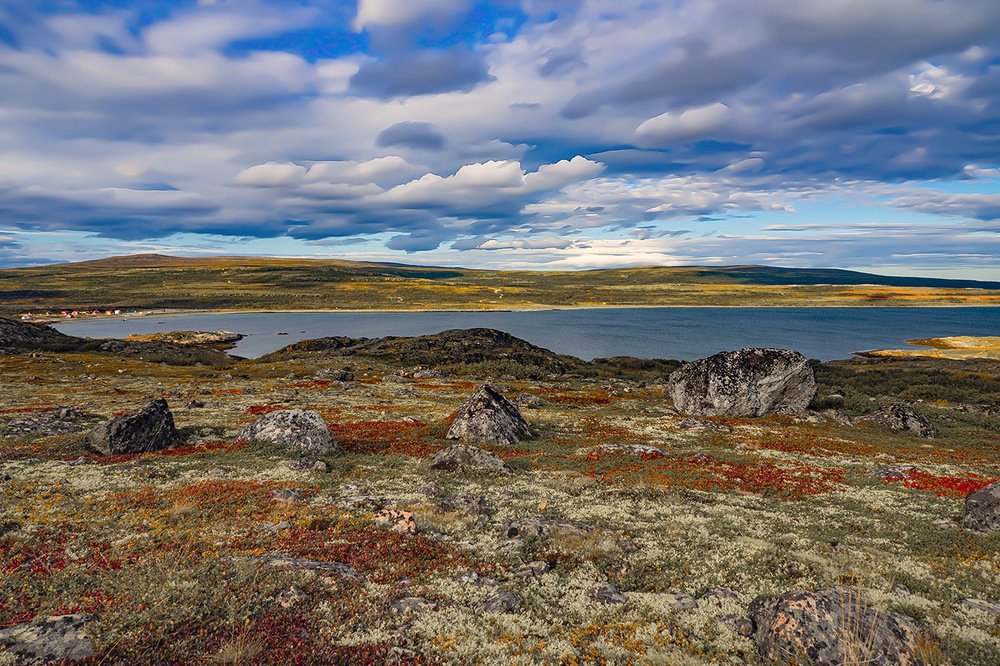 Photograph by Дмитрий Потапов