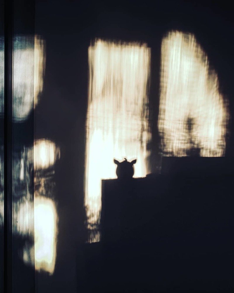 Photograph by Елена Кудейкина