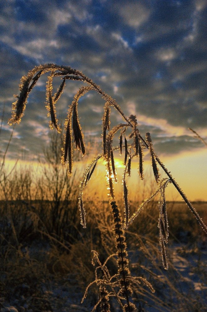 Photograph by Гребёнкина Ирина