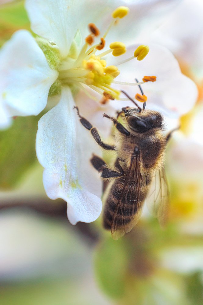 Photograph by Анастасия Суравикина