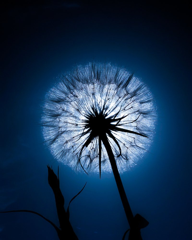 Фотография автора Дмитрий Деревянко