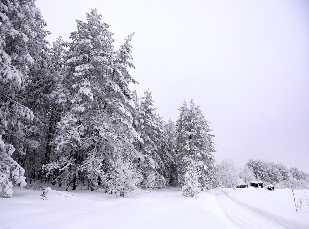 Photograph by Иван Волк