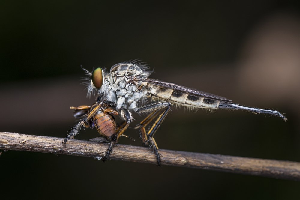 Photograph by Ng Max