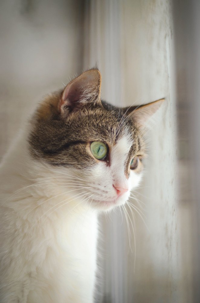 Photograph by Иван Волк