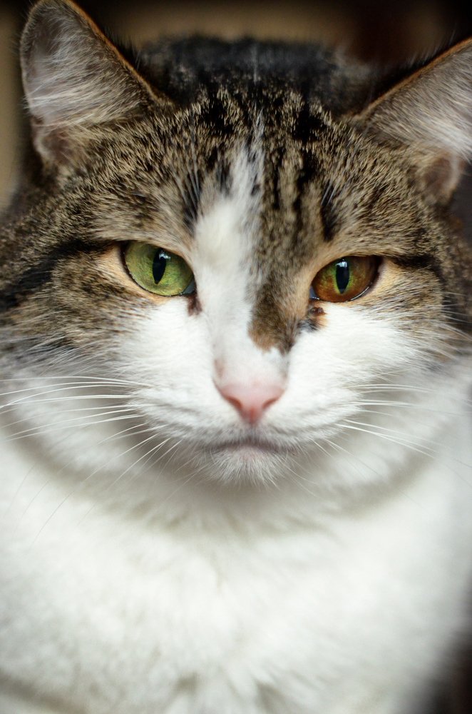 Photograph by Иван Волк