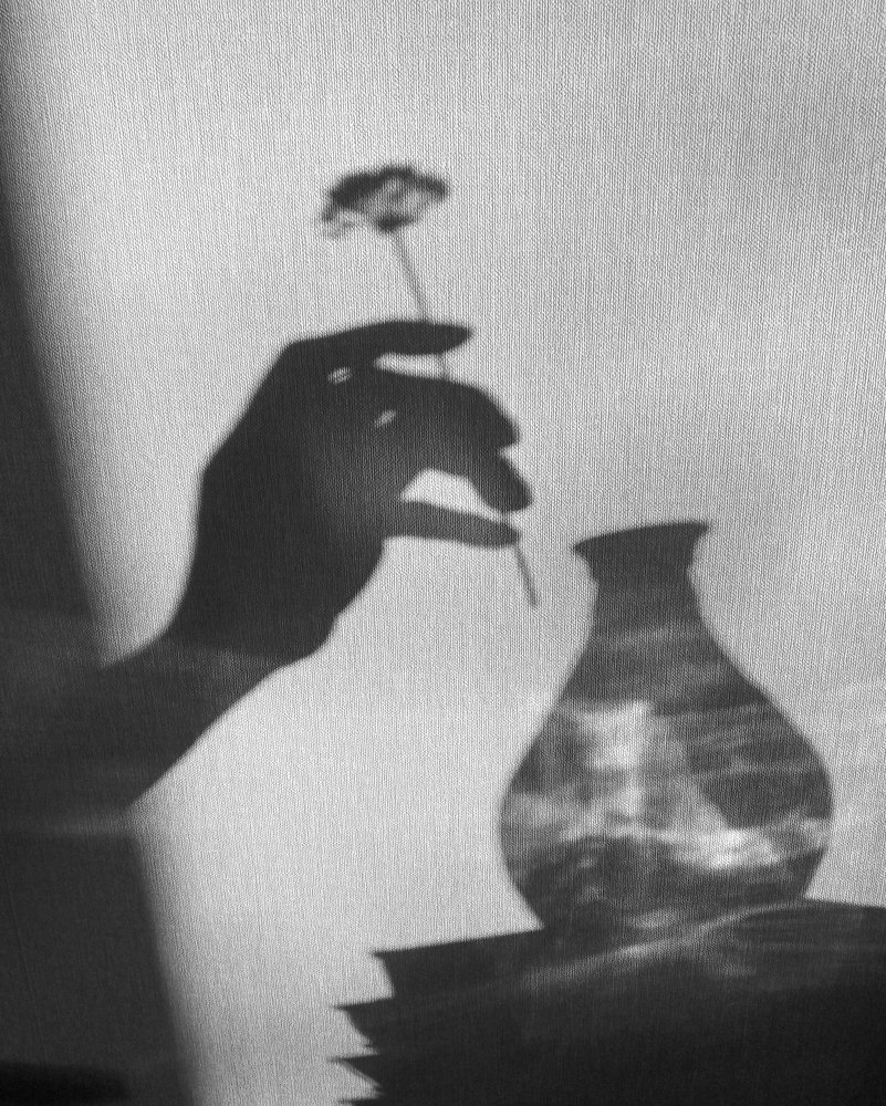 Photograph by Светлана Гок