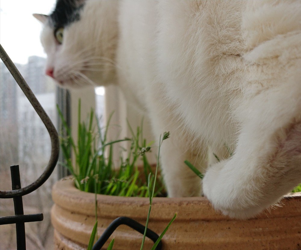 Photograph by Александра Баранова