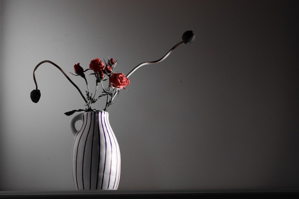 Photograph by Евгения Гудкова