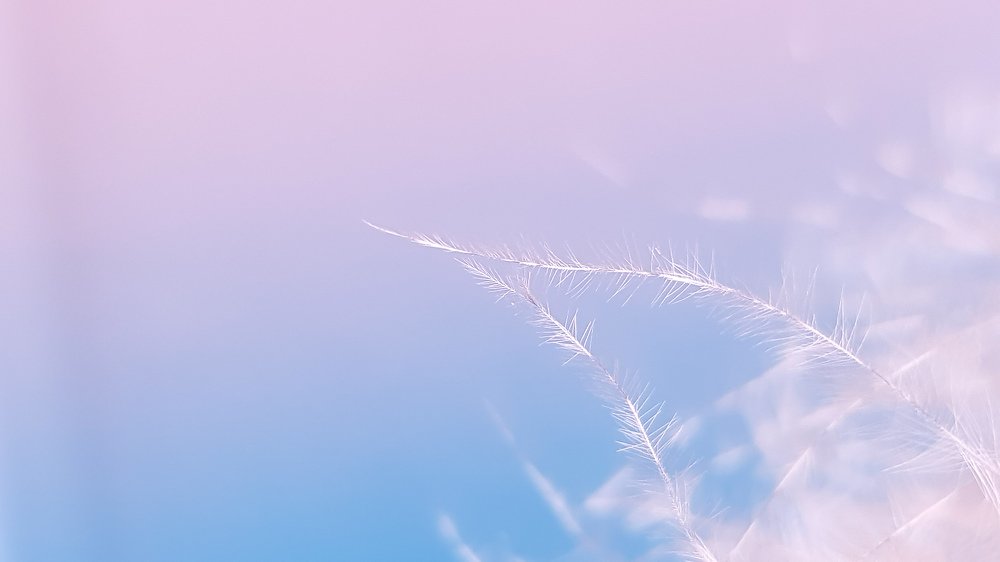 Photograph by Наталья Ким